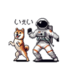 宇宙飛行士 柴犬 健康体形で旅をする（個別スタンプ：8）
