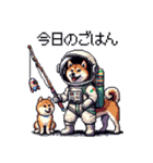 宇宙飛行士 柴犬 健康体形で旅をする（個別スタンプ：9）