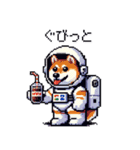 宇宙飛行士 柴犬 健康体形で旅をする（個別スタンプ：10）