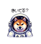 宇宙飛行士 柴犬 健康体形で旅をする（個別スタンプ：12）