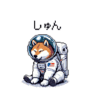 宇宙飛行士 柴犬 健康体形で旅をする（個別スタンプ：13）