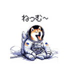 宇宙飛行士 柴犬 健康体形で旅をする（個別スタンプ：15）