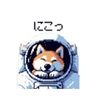 宇宙飛行士 柴犬 健康体形で旅をする（個別スタンプ：17）