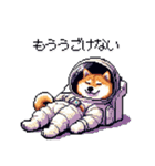宇宙飛行士 柴犬 健康体形で旅をする（個別スタンプ：19）
