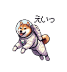 宇宙飛行士 柴犬 健康体形で旅をする（個別スタンプ：20）