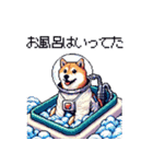 宇宙飛行士 柴犬 健康体形で旅をする（個別スタンプ：22）