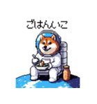 宇宙飛行士 柴犬 健康体形で旅をする（個別スタンプ：23）