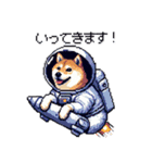 宇宙飛行士 柴犬 健康体形で旅をする（個別スタンプ：25）