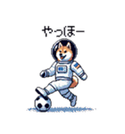 宇宙飛行士 柴犬 健康体形で旅をする（個別スタンプ：26）
