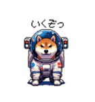 宇宙飛行士 柴犬 健康体形で旅をする（個別スタンプ：28）