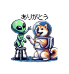 宇宙飛行士 柴犬 健康体形で旅をする（個別スタンプ：29）
