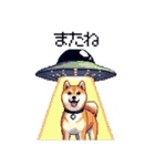宇宙飛行士 柴犬 健康体形で旅をする（個別スタンプ：30）
