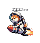 宇宙飛行士 柴犬 健康体形で旅をする（個別スタンプ：33）