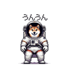 宇宙飛行士 柴犬 健康体形で旅をする（個別スタンプ：36）