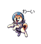 宇宙飛行士 柴犬 健康体形で旅をする（個別スタンプ：38）