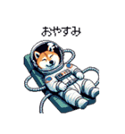 宇宙飛行士 柴犬 健康体形で旅をする（個別スタンプ：39）