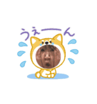もえごんとゆめちゃんだよ（個別スタンプ：5）