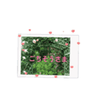 リアクション-8（個別スタンプ：3）