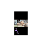 リアクション-9（個別スタンプ：1）