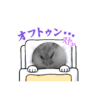 はむすたーparadise（個別スタンプ：1）