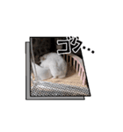 はむすたーparadise（個別スタンプ：3）