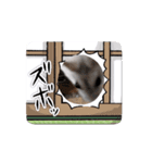 はむすたーparadise（個別スタンプ：7）