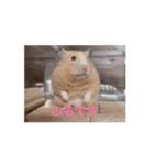 原田ぷるの日常（個別スタンプ：6）