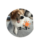チキンチママ3．（個別スタンプ：16）