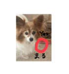 チキンチママ3．（個別スタンプ：18）