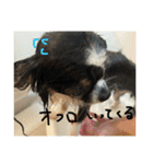 チキンチママ3．（個別スタンプ：23）