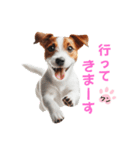 ジャックラッセルの挨拶（個別スタンプ：8）