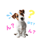 ジャックラッセルの挨拶（個別スタンプ：9）