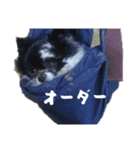 球野丿スタンプ（個別スタンプ：18）