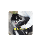 球野丿スタンプ（個別スタンプ：23）