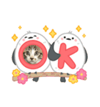 保護猫ぽんずのLINEスタンプ（個別スタンプ：12）