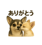らいとぱる。（個別スタンプ：1）