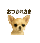 らいとぱる。（個別スタンプ：2）