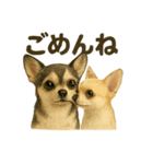 らいとぱる。（個別スタンプ：3）