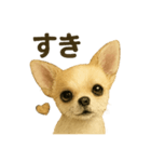 らいとぱる。（個別スタンプ：4）
