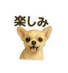 らいとぱる。（個別スタンプ：7）