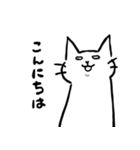 白目で頑張る猫（個別スタンプ：2）