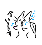 白目で頑張る猫（個別スタンプ：13）