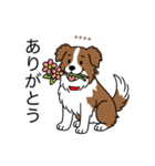 名前入りボーダーコリーブラウン（個別スタンプ：1）