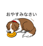名前入りボーダーコリーブラウン（個別スタンプ：4）