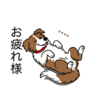 名前入りボーダーコリーブラウン（個別スタンプ：5）