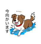 名前入りボーダーコリーブラウン（個別スタンプ：14）