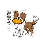 名前入りボーダーコリーブラウン（個別スタンプ：15）