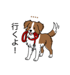 名前入りボーダーコリーブラウン（個別スタンプ：16）