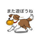 名前入りボーダーコリーブラウン（個別スタンプ：17）
