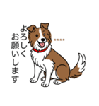 名前入りボーダーコリーブラウン（個別スタンプ：18）